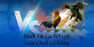 Hướng Dẫn Cách Chơi Đá Gà WS168 Tại AU88 Kịch Tính Sát Phạt