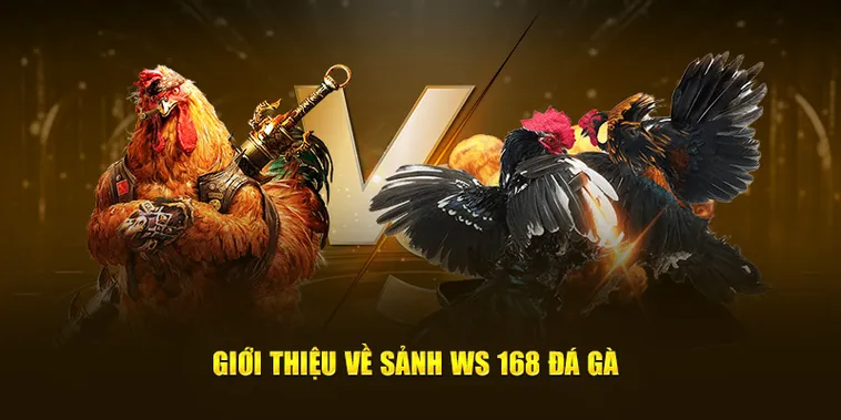 Hướng Dẫn Cách Chơi Đá Gà WS168 Tại AU88 Kịch Tính Sát Phạt